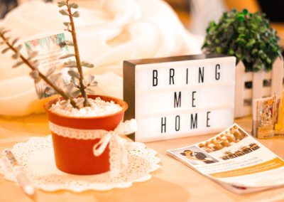 What makes the ideal Airbnb host?